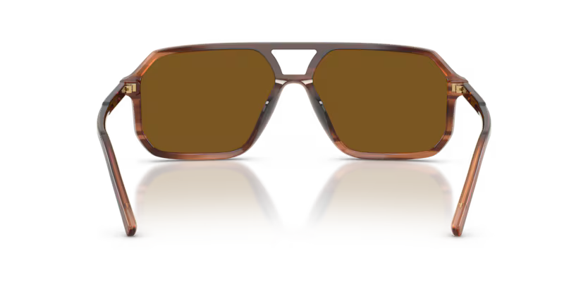 Dolce & Gabbana DG4541