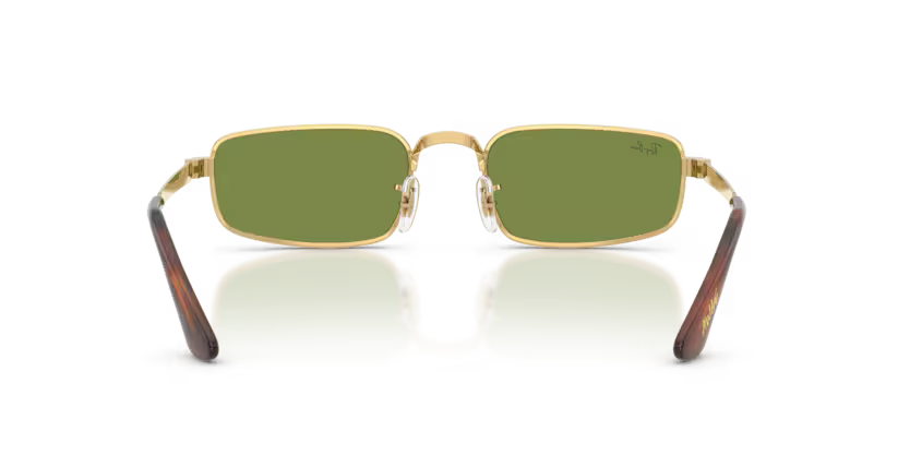 Ray-Ban RB3927
