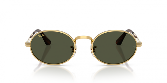 Ray-Ban RB3931