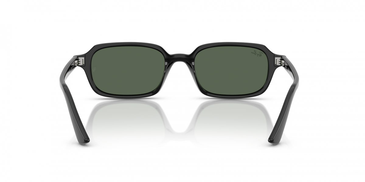 Ray-Ban RB4455 - Zuri