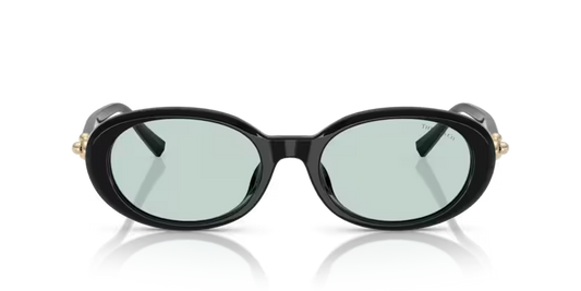 Tiffany & Co TF4242D