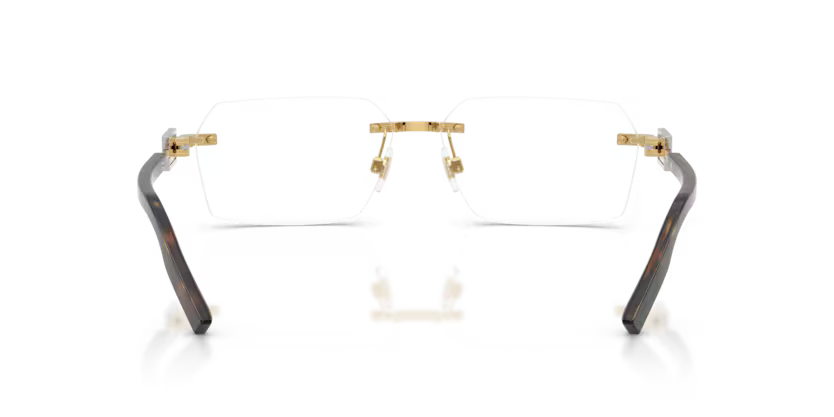 Dolce & Gabbana DG1361