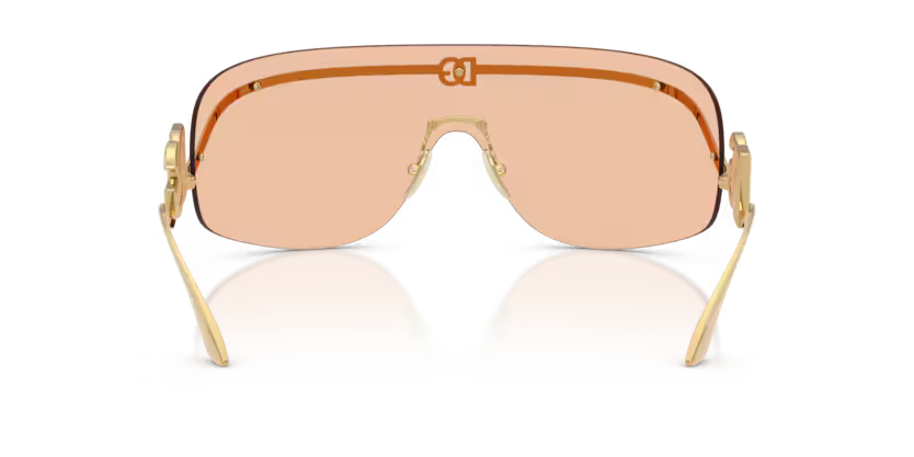 Dolce & Gabbana DG2320