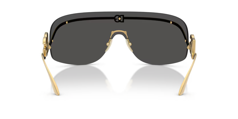 Dolce & Gabbana DG2320