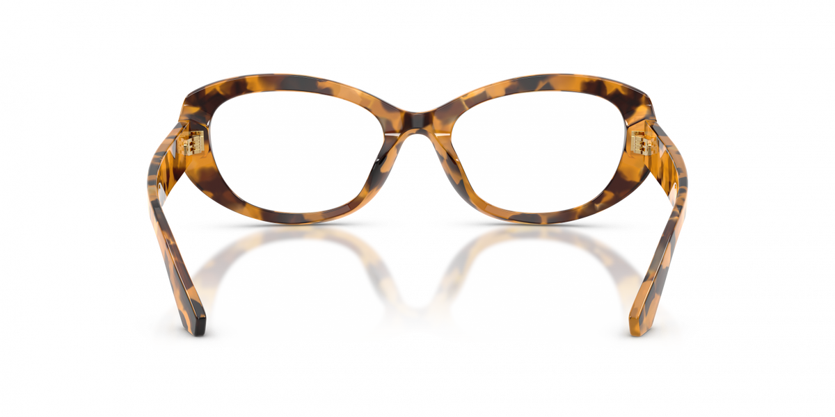 Dolce & Gabbana DG3455