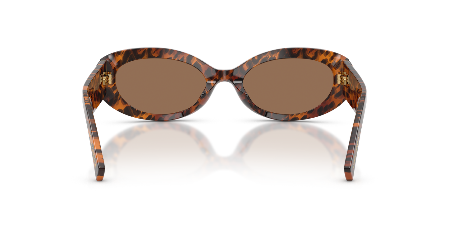 Dolce & Gabbana DG4537