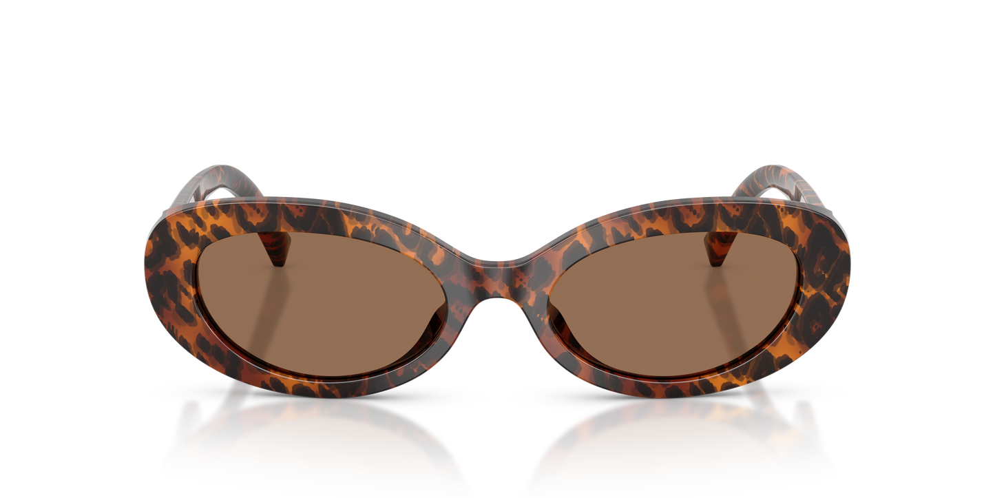 Dolce & Gabbana DG4537