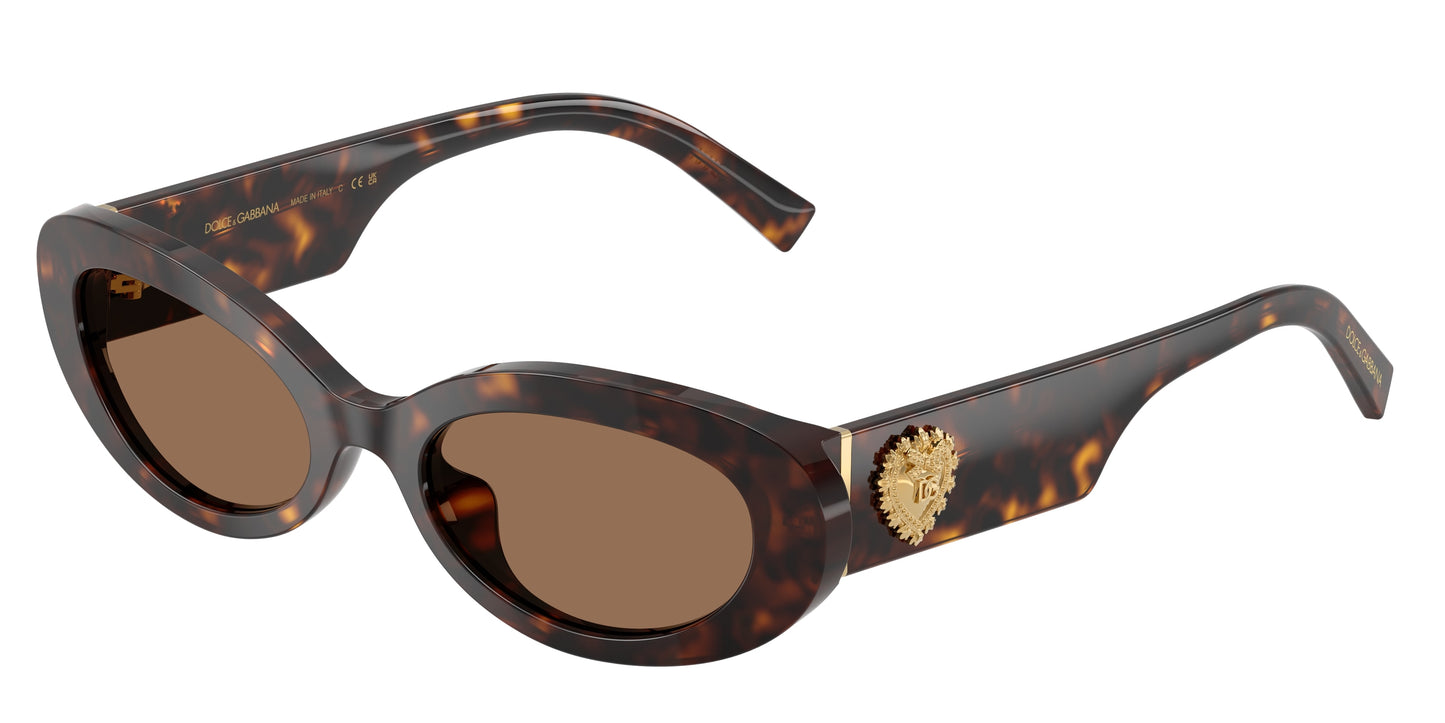 Dolce & Gabbana DG4537