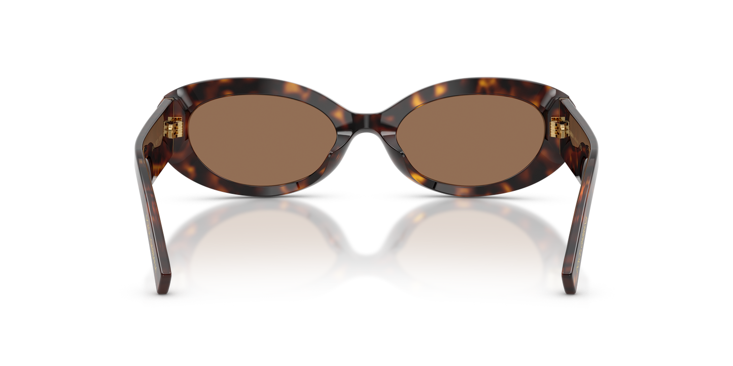 Dolce & Gabbana DG4537