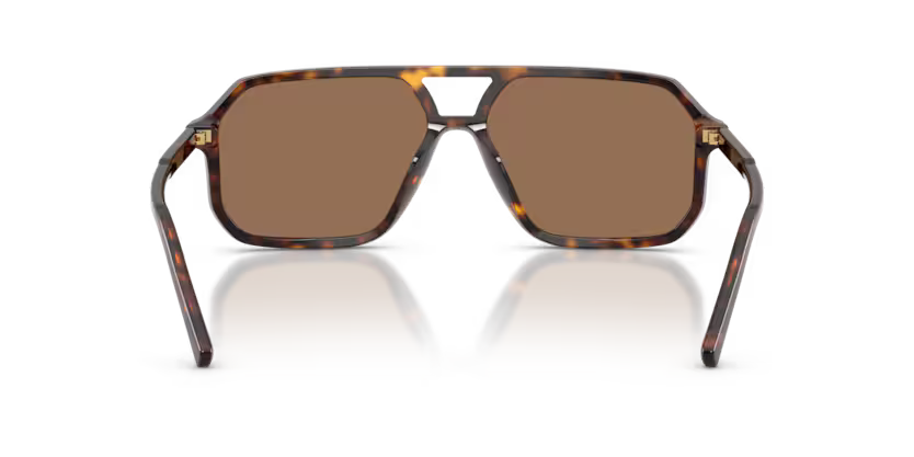 Dolce & Gabbana DG4541