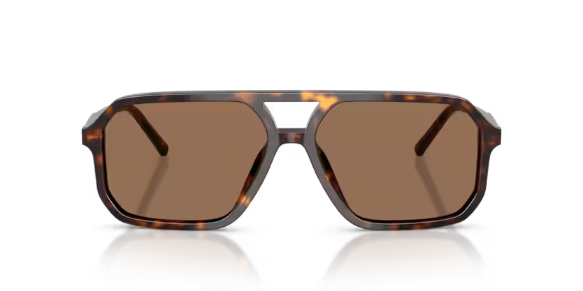 Dolce & Gabbana DG4541