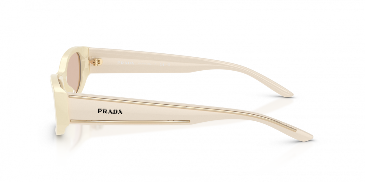 Prada PR D22S
