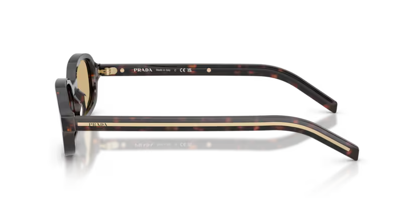 Prada PR D06S