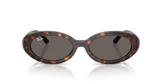 Ray-Ban RB2223