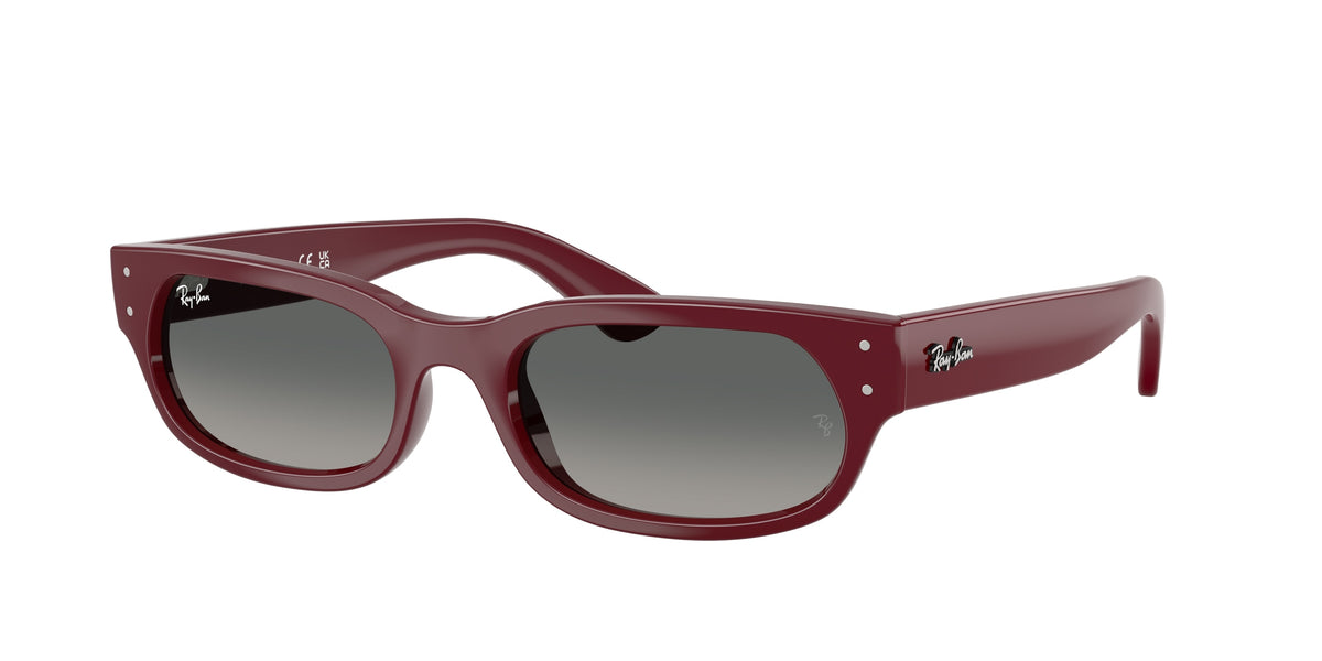 Ray-Ban RB2236