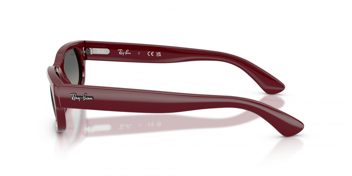 Ray-Ban RB2236