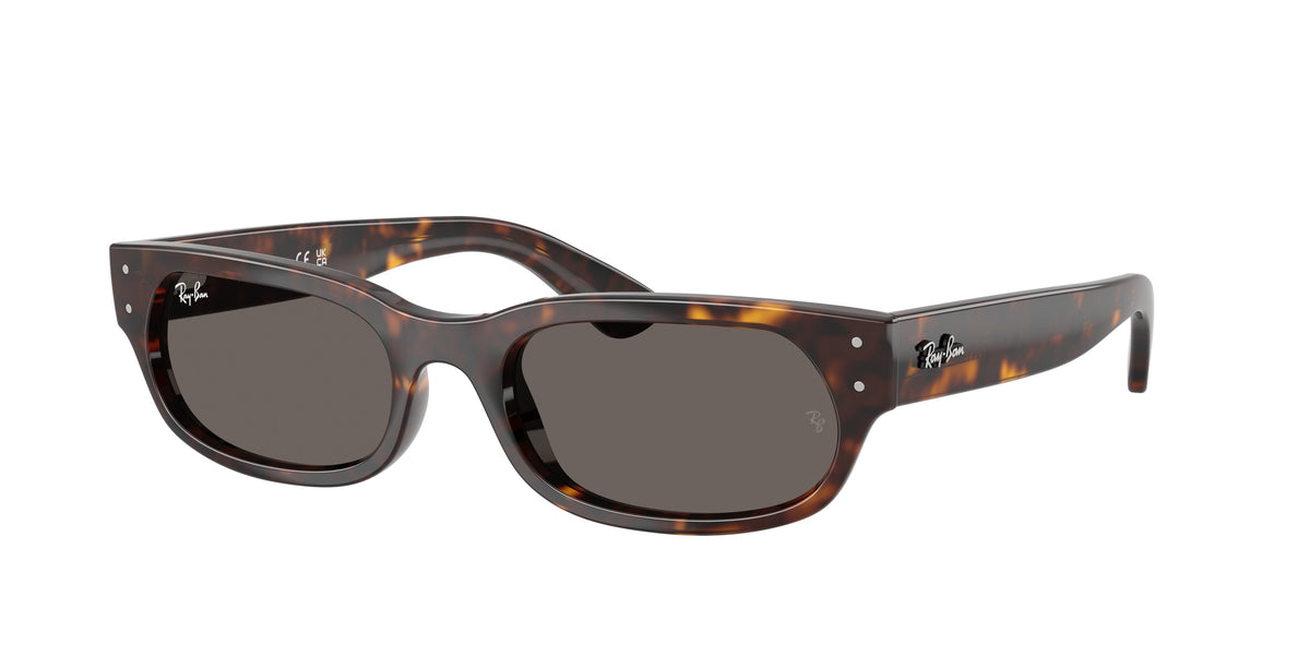 Ray-Ban RB2236