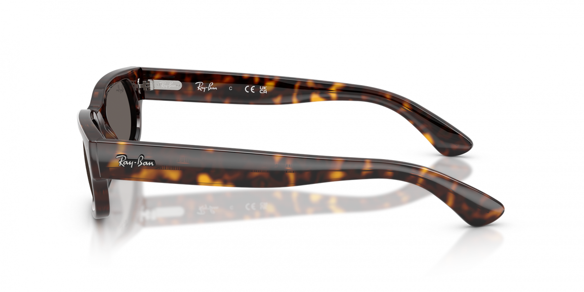 Ray-Ban RB2236
