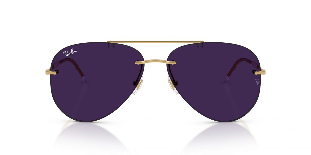 Ray-Ban RB3791