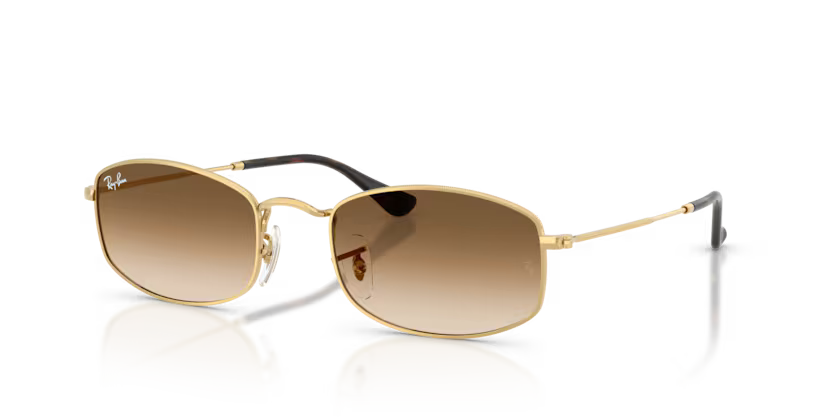 Ray-Ban RB3832