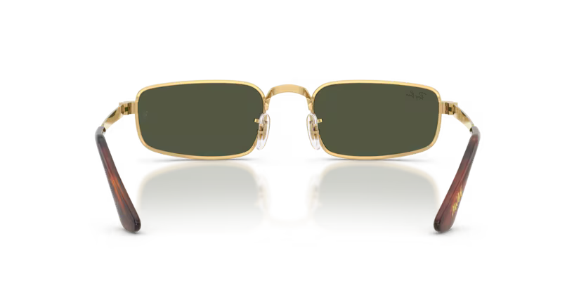 Ray-Ban RB3927