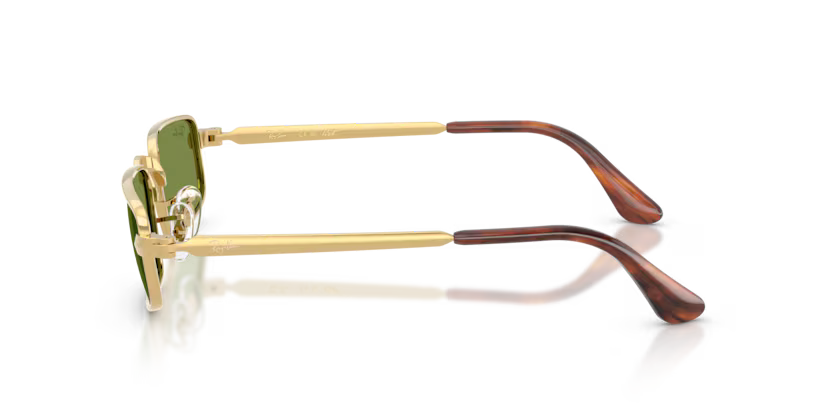 Ray-Ban RB3927