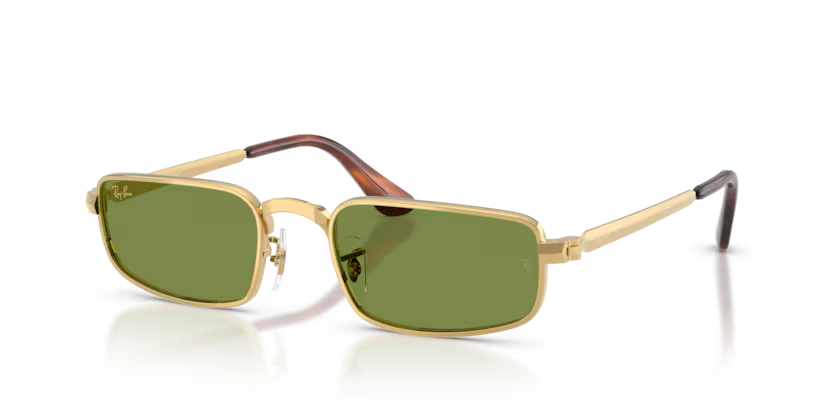 Ray-Ban RB3927