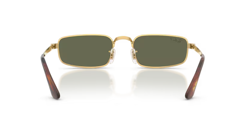 Ray-Ban RB3927