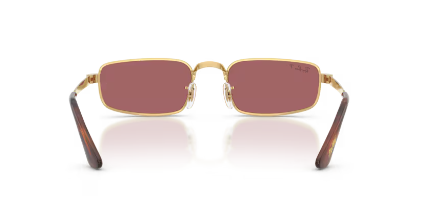 Ray-Ban RB3927