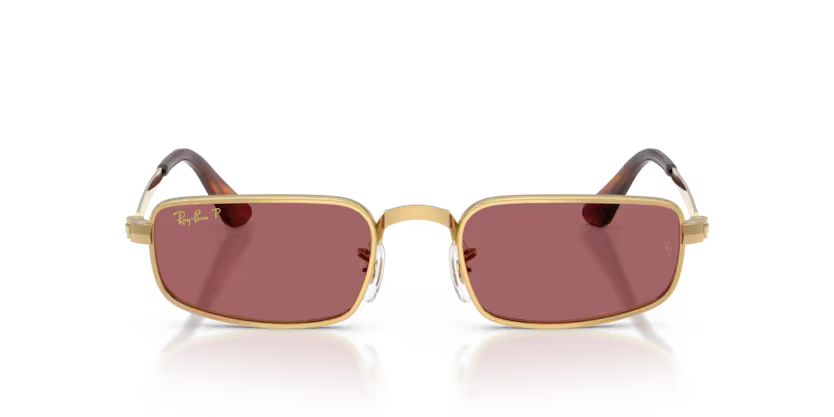 Ray-Ban RB3927