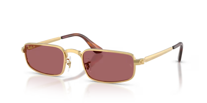 Ray-Ban RB3927