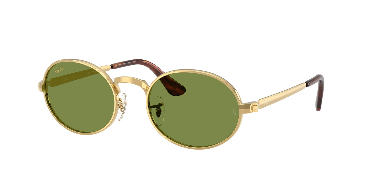 Ray-Ban RB3931