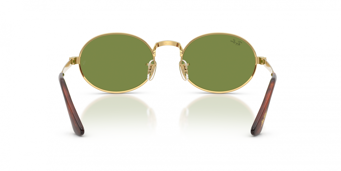 Ray-Ban RB3931