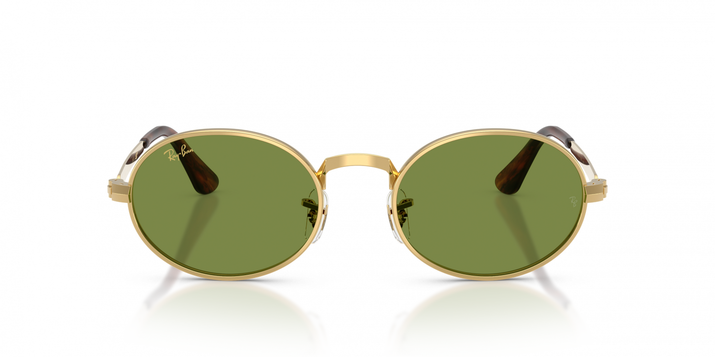Ray-Ban RB3931