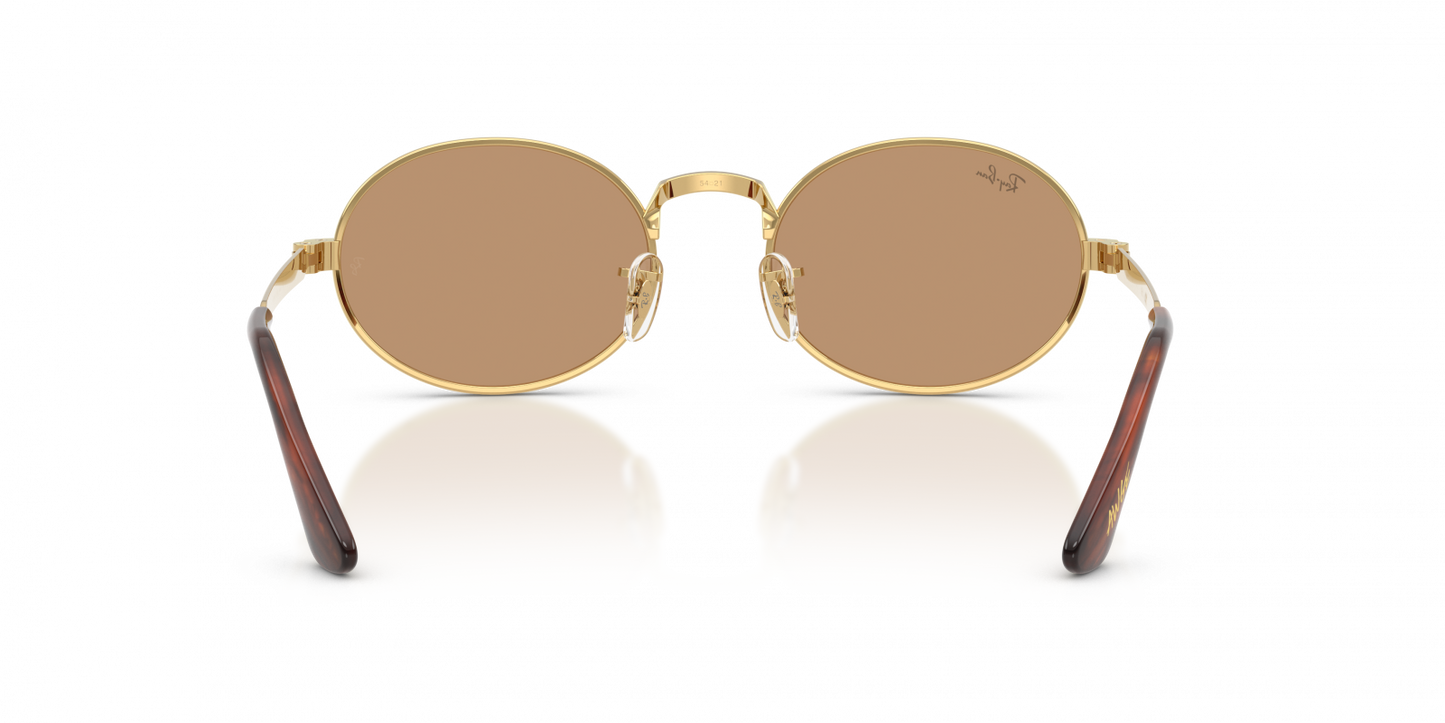 Ray-Ban RB3931