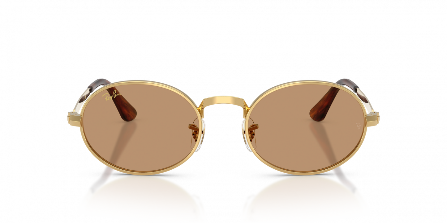 Ray-Ban RB3931