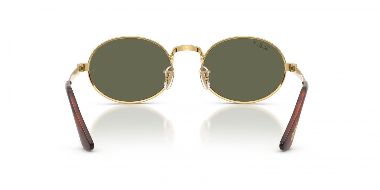Ray-Ban RB3931