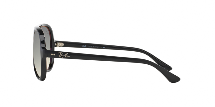 Ray-Ban RB4125 Cats 5000