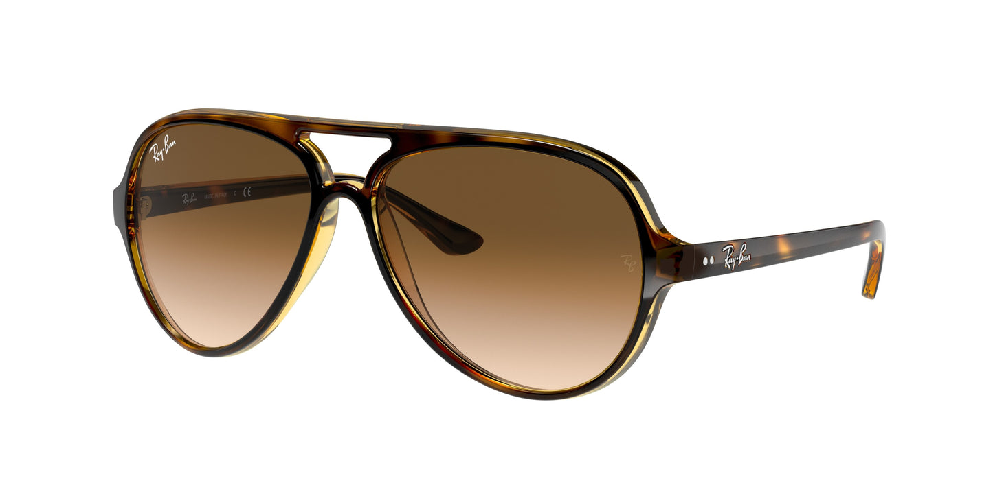Ray-Ban RB4125 Cats 5000