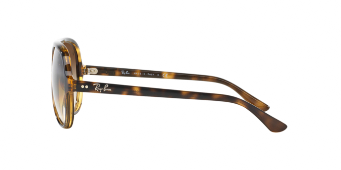 Ray-Ban RB4125 Cats 5000
