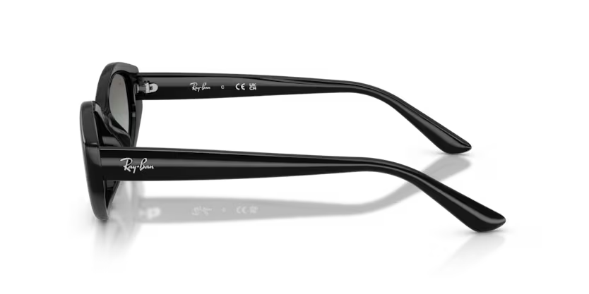 Ray-Ban RB4473D
