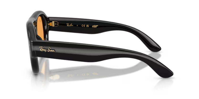 Ray-Ban RB4925