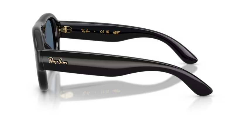 Ray-Ban RB4925