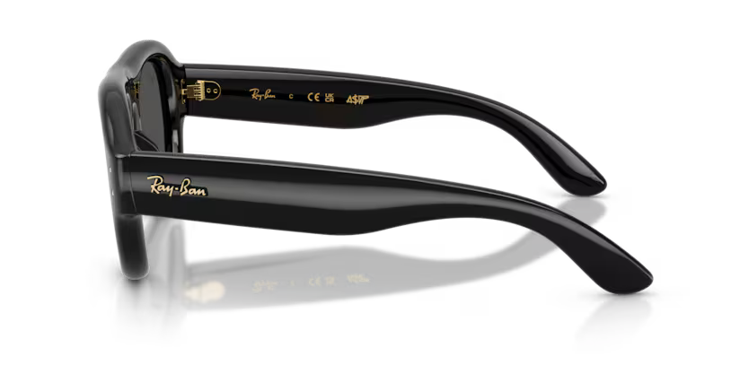 Ray-Ban RB4925