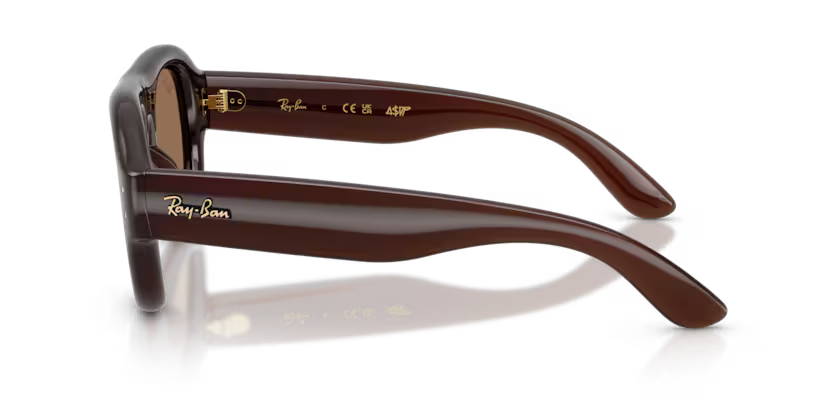 Ray-Ban RB4925