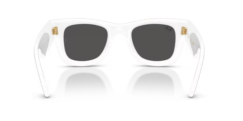 Ray-Ban RB4940BP - Wayfarer puffer