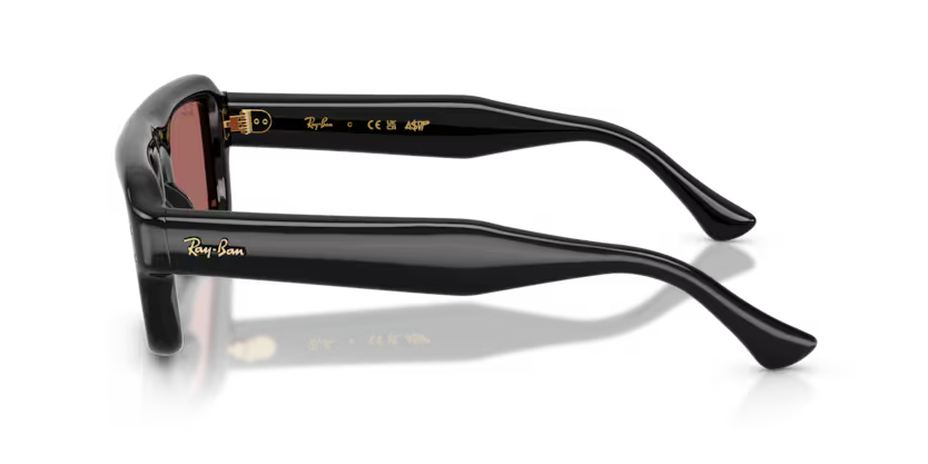 Ray-Ban RB4954