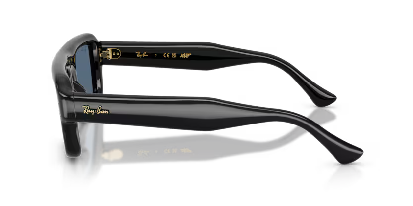 Ray-Ban RB4954