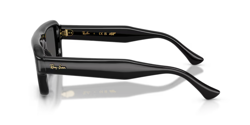 Ray-Ban RB4954