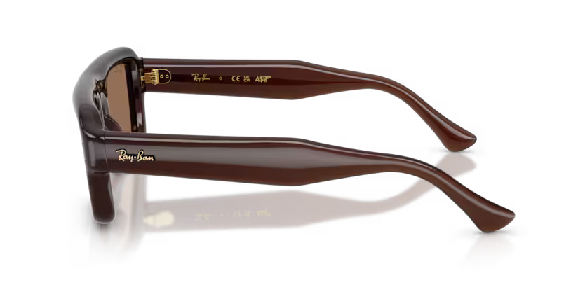 Ray-Ban RB4954